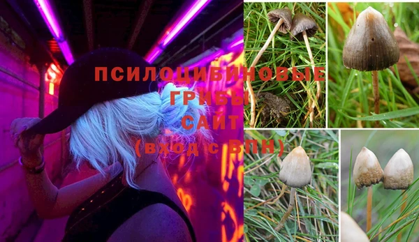гидропоника Алексеевка