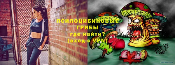 mdpv Алзамай