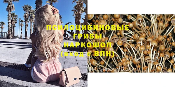 mdpv Алзамай