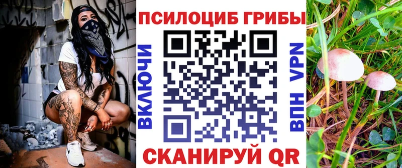 Псилоцибиновые грибы GOLDEN TEACHER  мега ONION  Бабушкин 